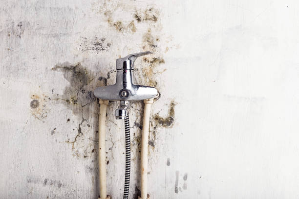 Best Commercial Mold Removal  in Coopertown, TN