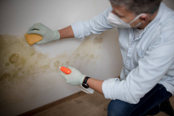 Best Crawl Space Mold Removal  in Coopertown, TN