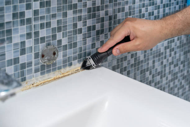 Best Professional Mold Removal  in Coopertown, TN