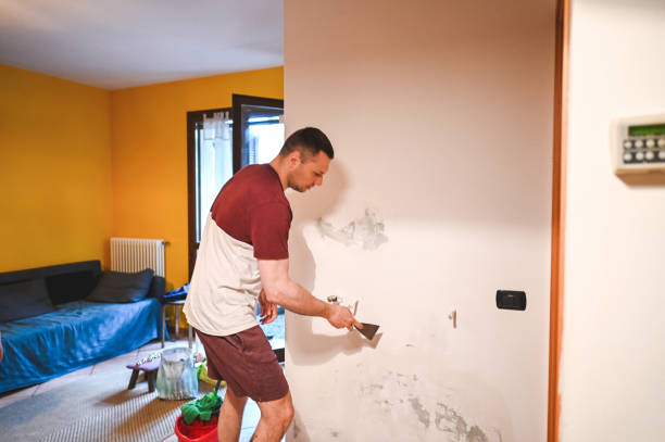 Best Professional Mold Removal  in Coopertown, TN