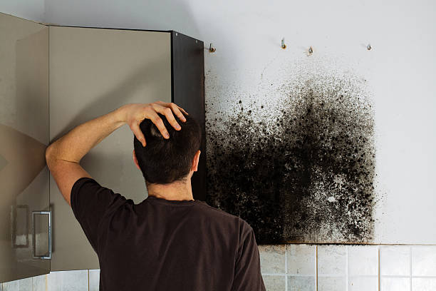 Best Mold Damage Repair  in Coopertown, TN